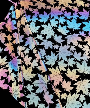 La différence entre luminescence, fluorescence et réflexion