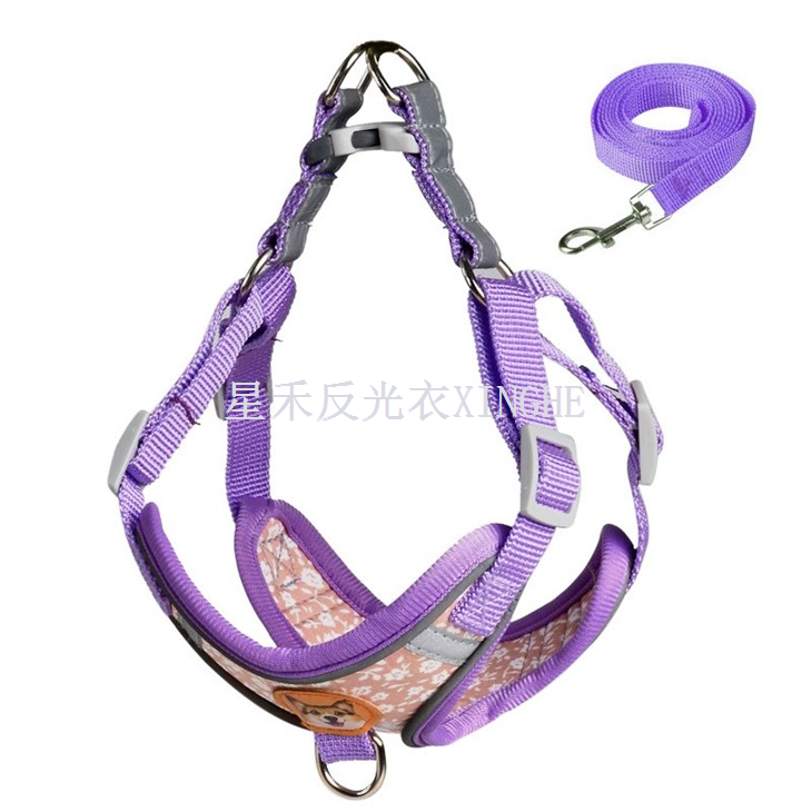 Chien à sangle réfléchissante de sécurité